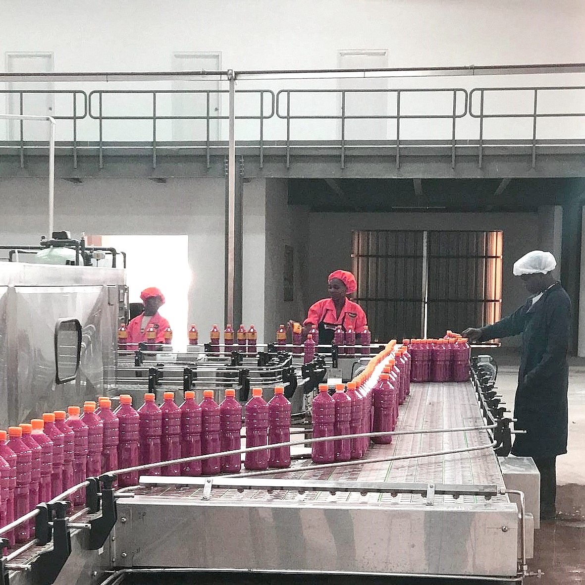 番茄加工线 番茄加工线